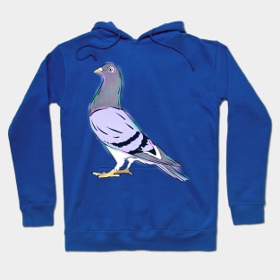 Christmas Pigeon Hoodie